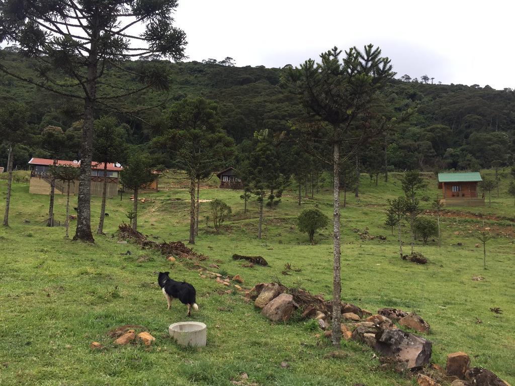 Fazenda Morro Das Torres Urupema Extérieur photo