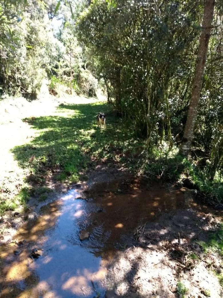 Fazenda Morro Das Torres Urupema Extérieur photo